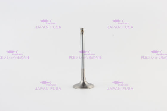 20798699 20849976 Diesel Engine Valve  D6E For  EC210B  EC220D EW145B EW205D