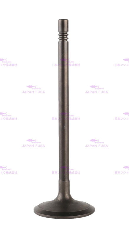3142H091 Diesel Engine Valve , Fuel Intake Valve C6.6 For 320D 323D 326D 329D 336