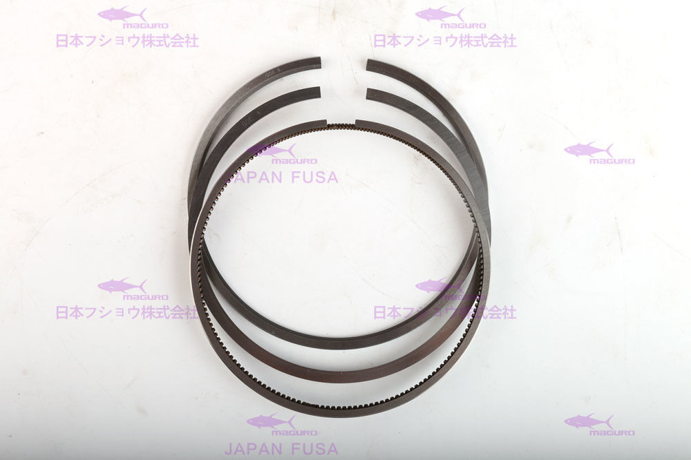 6 Cyls Piston Ring Set fit VOLVO EC360 Dia 108 mm 21299547